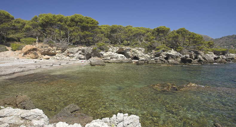 Cala Auberdans Mallorca orilla