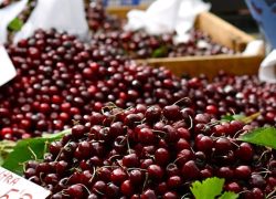 mercado capdepera fruta