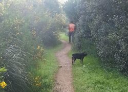 sendero-es-claper-des-gegants-excursionista-con-perro